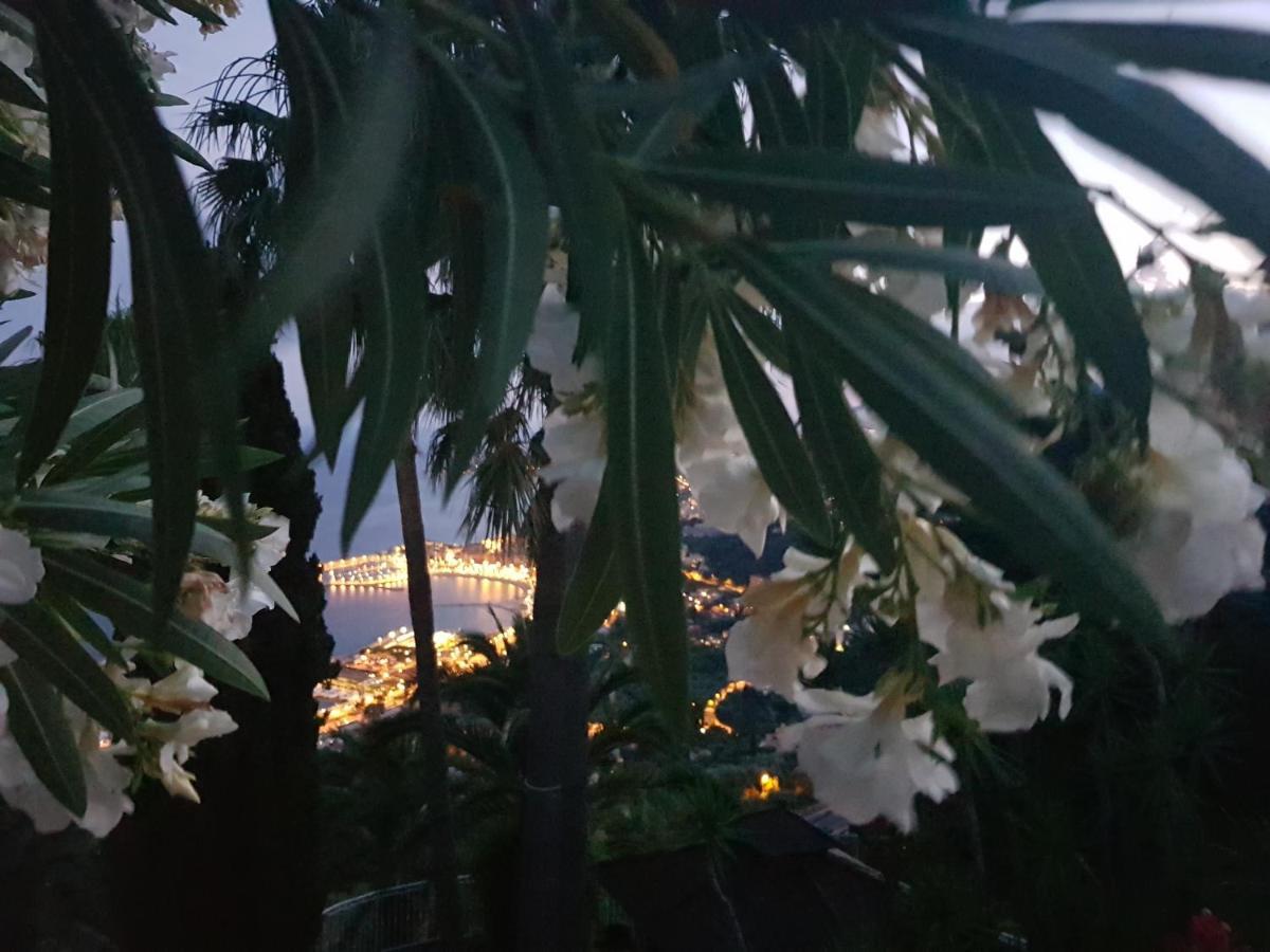 Villa Panoramica 芒通 外观 照片